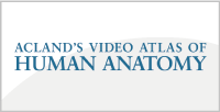 Acland